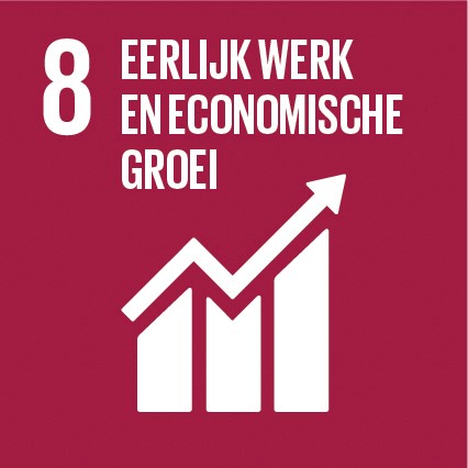 SDG8_eerlijk_werk_en_economische_groei